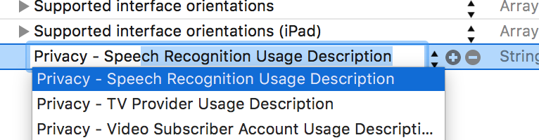 Authorization message for Speech Recognition